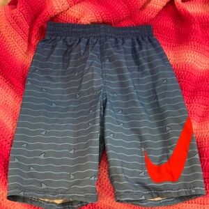 Nike Kids Blue and Red Swim Shorts